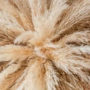 the provisional organic (pampas grass wall decor — boho dried flowers hanging kit, 20–30")