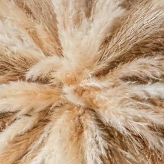 the provisional organic (pampas grass wall decor — boho dried flowers hanging kit, 20–30")